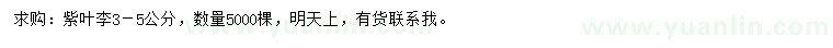 求購3-5公分紫葉李