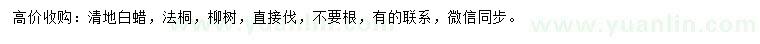 求購白蠟、法桐、柳樹