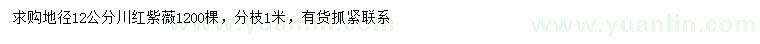 求購地徑12公分川紅紫薇