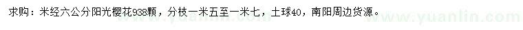 求購(gòu)米徑6公分陽(yáng)光櫻花