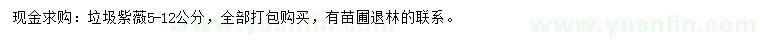 求購5-12公分紫薇