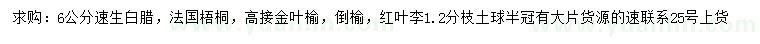 求購速生白蠟、法桐、金葉榆等