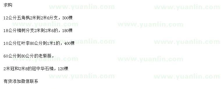 求購五角楓、楠樹、紅葉李等