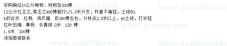 求購(gòu)楸樹、梓樹、紅玉蘭等
