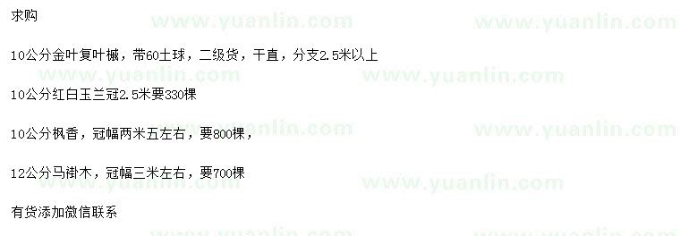 求購(gòu)金葉復(fù)葉槭、紅玉蘭、楓香等