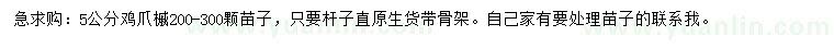 求購(gòu)5公分雞爪槭