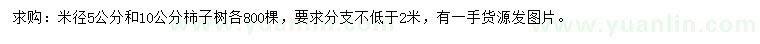 求購(gòu)米徑5、10公分柿子樹(shù)