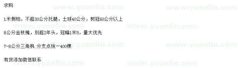 求購側(cè)柏、金枝槐、三角楓