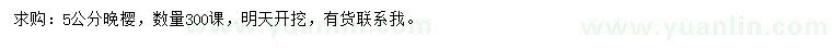 求購5公分晚櫻