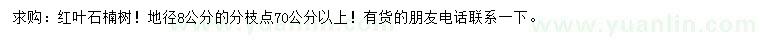求購地徑8公分紅葉石楠