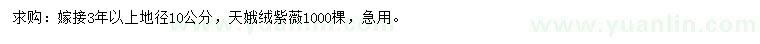求購地徑10公分天鵝絨紫薇