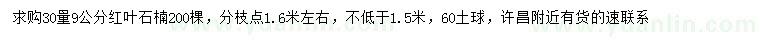 求購30量9公分紅葉石楠