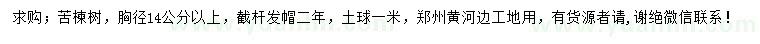 求購胸徑14公分以上苦楝