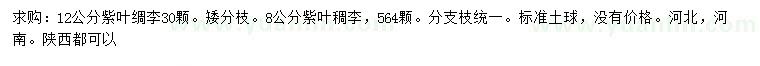 求購8、12公分紫葉稠李