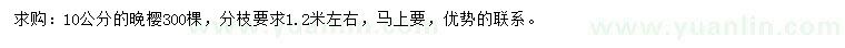求購10公分晚櫻