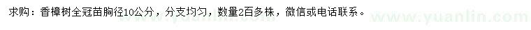 求購(gòu)胸徑10公分香樟