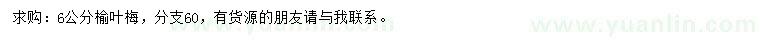 求購(gòu)6公分榆葉梅