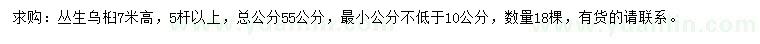 求購高7米叢生烏桕