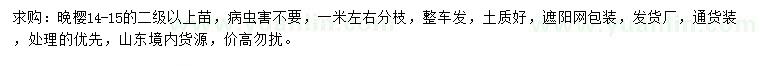 求購14-15公分晚櫻