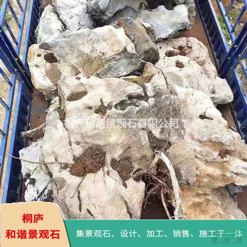 桐廬天然景觀石 園林太湖石 窟窿石 奇石