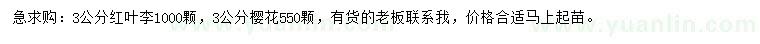 求購3公分紅葉李、櫻花