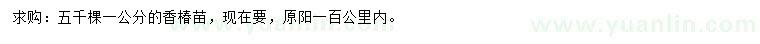 求購(gòu)1公分香椿