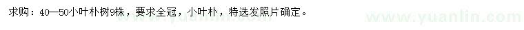 求購(gòu)40-50公分小葉樸樹