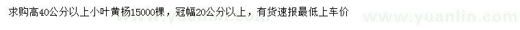 求購高40公分以上小葉黃楊