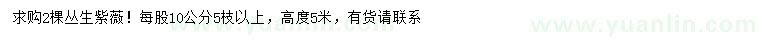 求購(gòu)高5米叢生紫薇