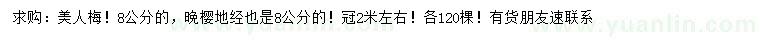 求購8公分美人梅、地徑8公分晚櫻