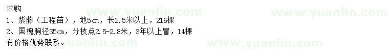 求購地徑5公分紫藤、胸徑35公分國槐