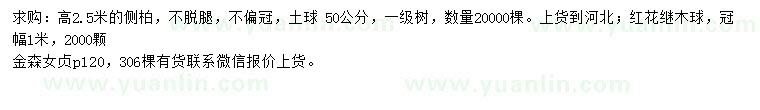 求購側(cè)柏、紅花繼木球、金森女貞