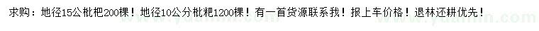 求購地徑10、15公分枇杷