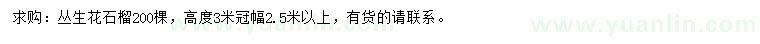 求購高3米叢生花石榴