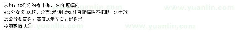 求購榆葉梅、女貞、銀杏