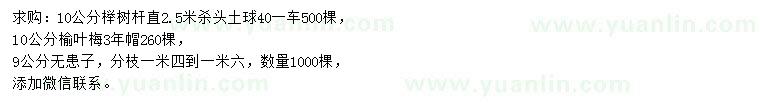 求購櫸樹、榆葉梅、無患子