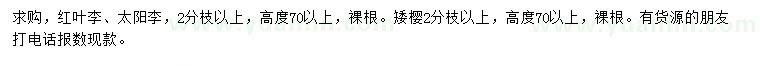 求購紅葉李、太陽李、矮櫻