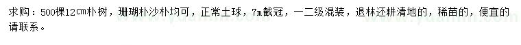 求購12公分樸樹