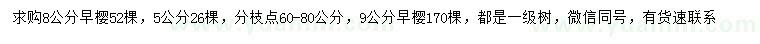 求購5、8、9公分早櫻