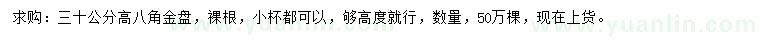 求購高30公分八角金盤