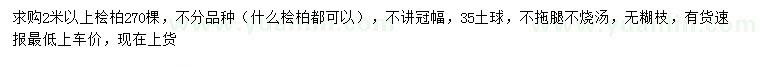 求購2米以上檜柏