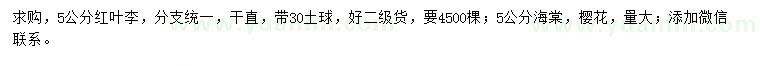求購紅葉李、海棠、櫻花