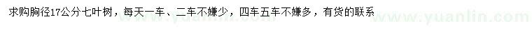 求購(gòu)胸徑17公分七葉樹(shù)