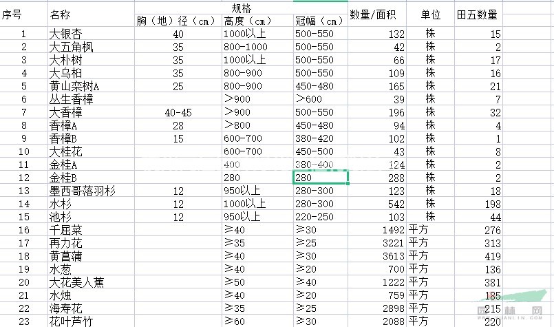 求購銀杏、五角楓、樸樹等