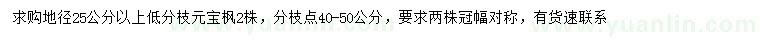 求購(gòu)地徑25公分以上元寶楓