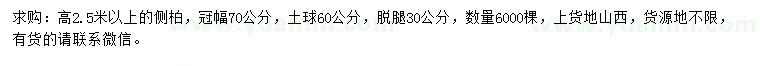 求購高2.5米以上側(cè)柏