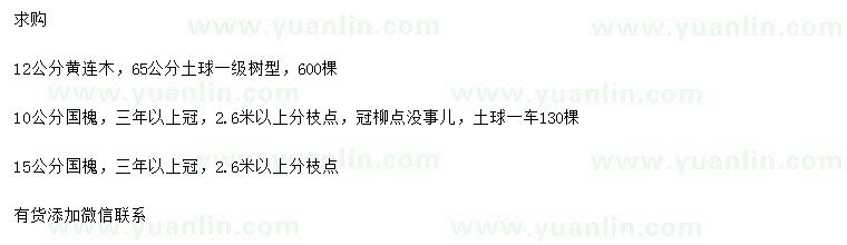 求購(gòu)12公分黃連木、10、15公分國(guó)槐