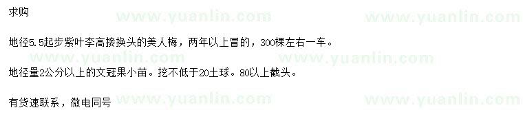 求購地徑5.5公分以上美人梅、地徑2公分以上文冠果小苗