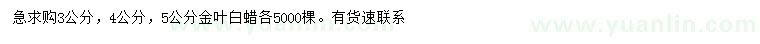 求購3、4、5公分金葉白蠟