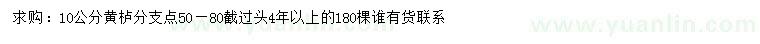求購(gòu)10公分黃櫨